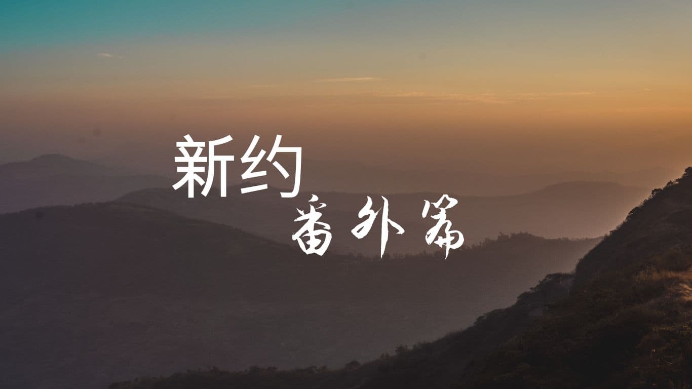 新约番外篇